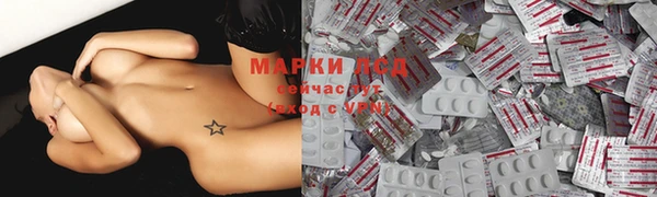 мяу мяу мука Лабытнанги