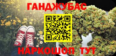 СК Гатчина