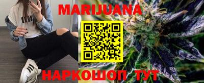 СК Гатчина