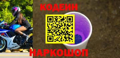 СК Гатчина