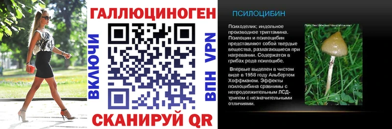 где купить наркотик  Калуга  Псилоцибиновые грибы мухоморы 
