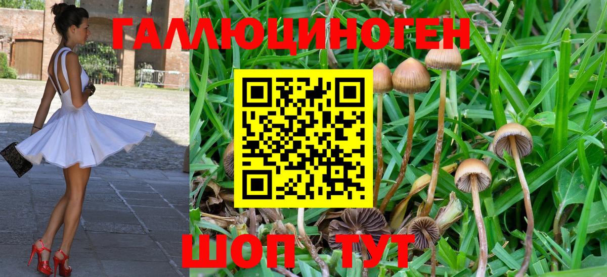 Псилоцибиновые грибы прущие грибы  Калуга 
