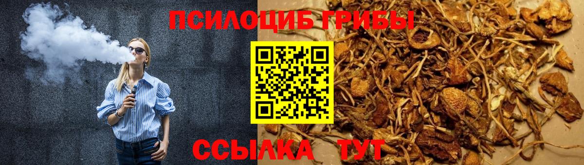 Калуга  Галлюциногенные грибы Psilocybine cubensis  Вход с VPN  Псилоцибиновые грибы GOLDEN TEACHER 