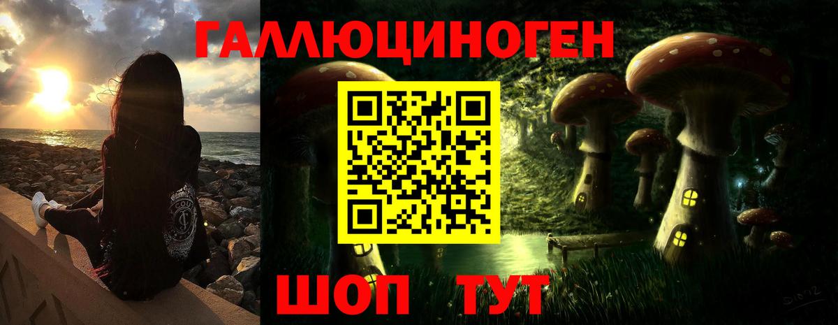 Псилоцибиновые грибы прущие грибы Калуга